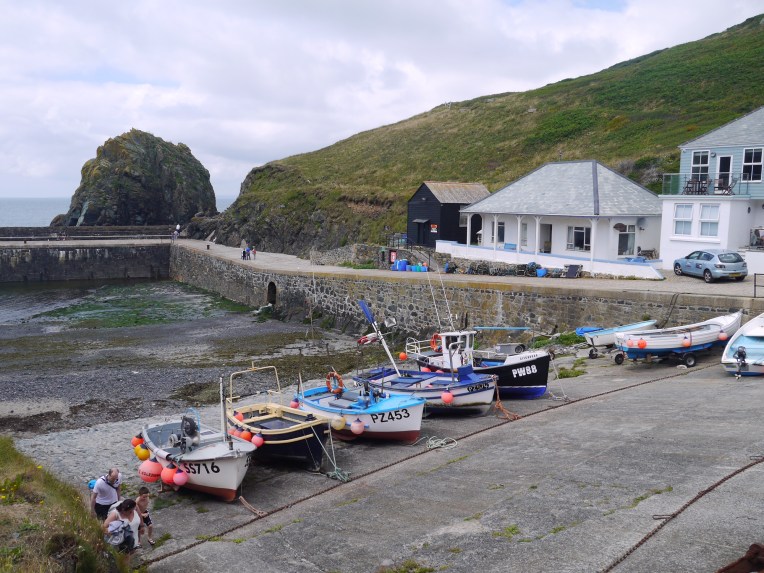 P1050628[2377]mullion cove