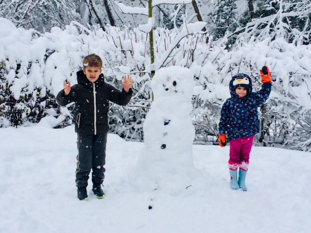 photo[3600]stanrowansnow