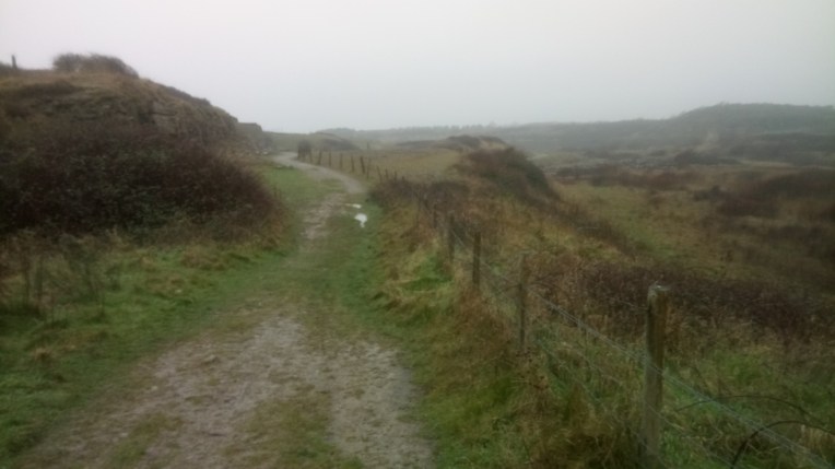 DSC_2642[3761]Former Rhoose Point quarry now regenerating