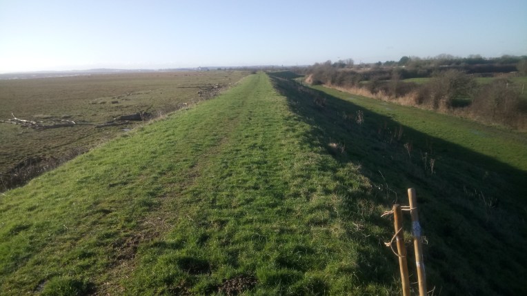 The seawall protection from Sern Mouth and or Bristol Channel.