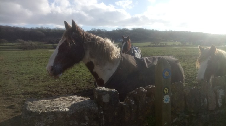OGMORE R BRDG GUARDHORSE