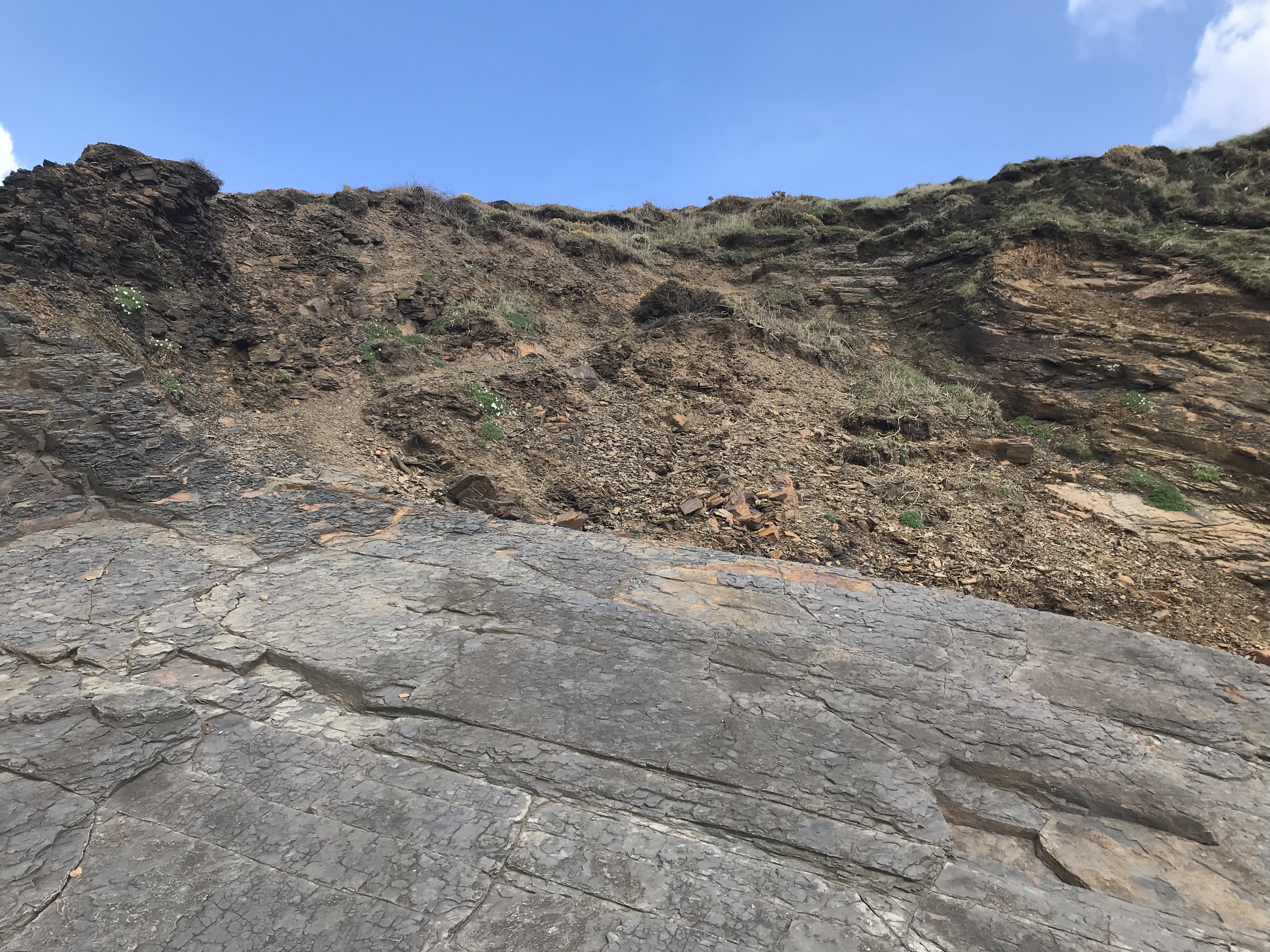 F3E50A8A-3202-4490-8F79-60DC59949291