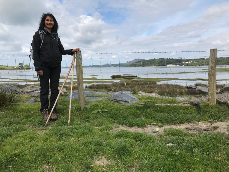 08F2B51C-E1BD-4BD2-A585-8EDE7C6965C3