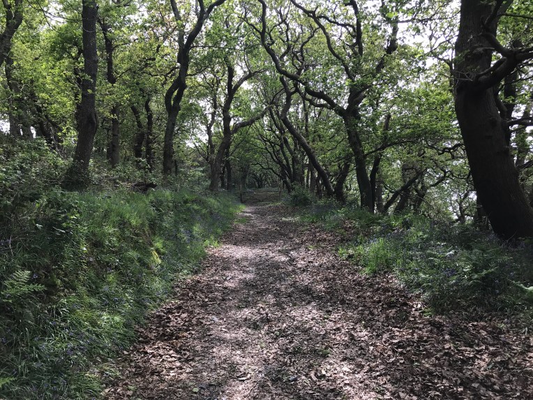 1C36080E-BE2B-476F-AE29-80AF92BBC696