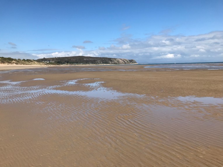 7E64EB6A-0031-43FD-85A9-171F53E75C45