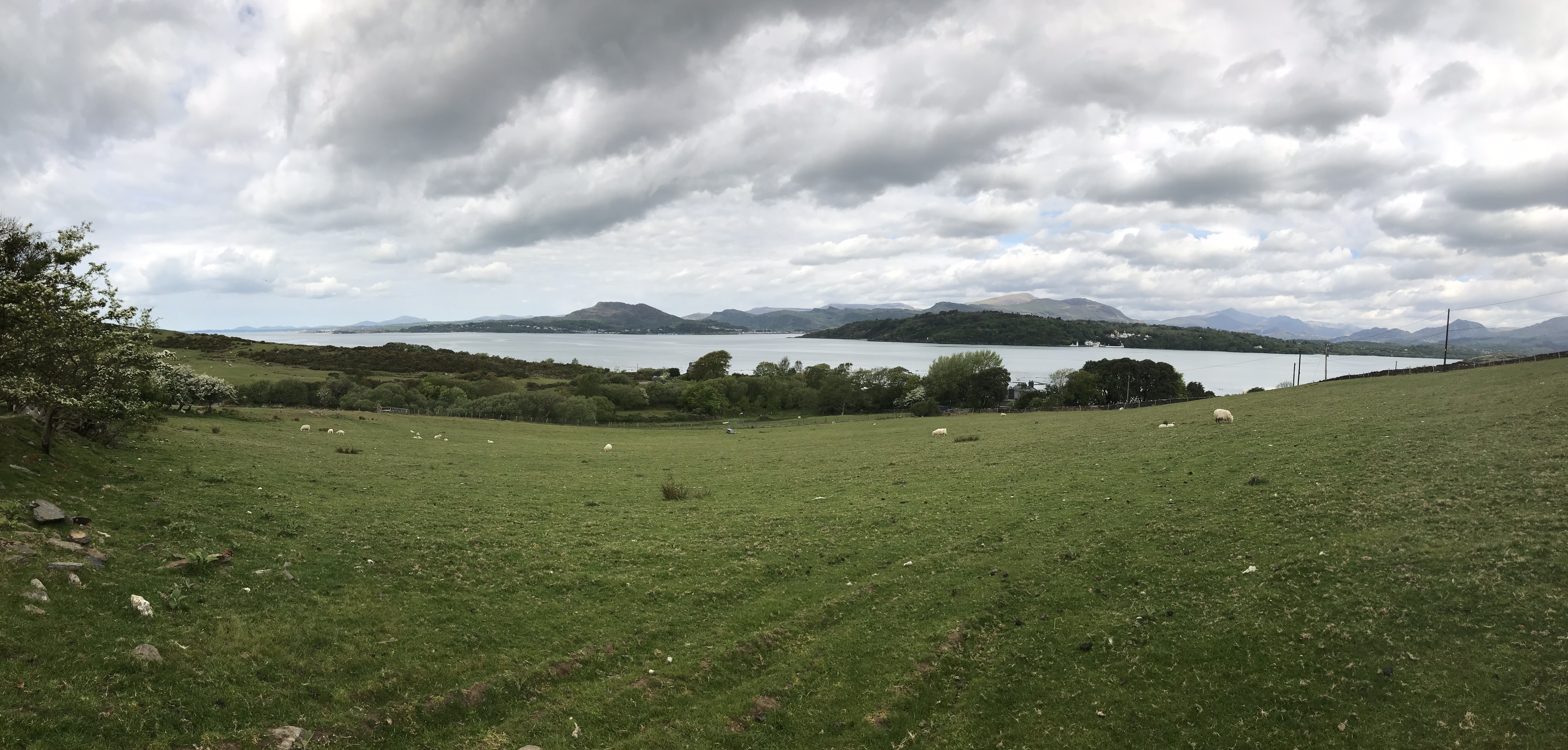 FFECEDA2-4F9C-423D-941F-D8A8319298BA