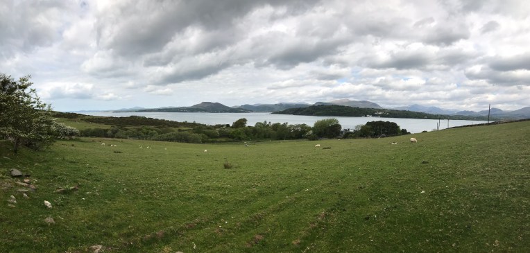 FFECEDA2-4F9C-423D-941F-D8A8319298BA