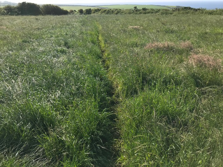 5A5C6E03-7735-4304-A533-8640A739CC91