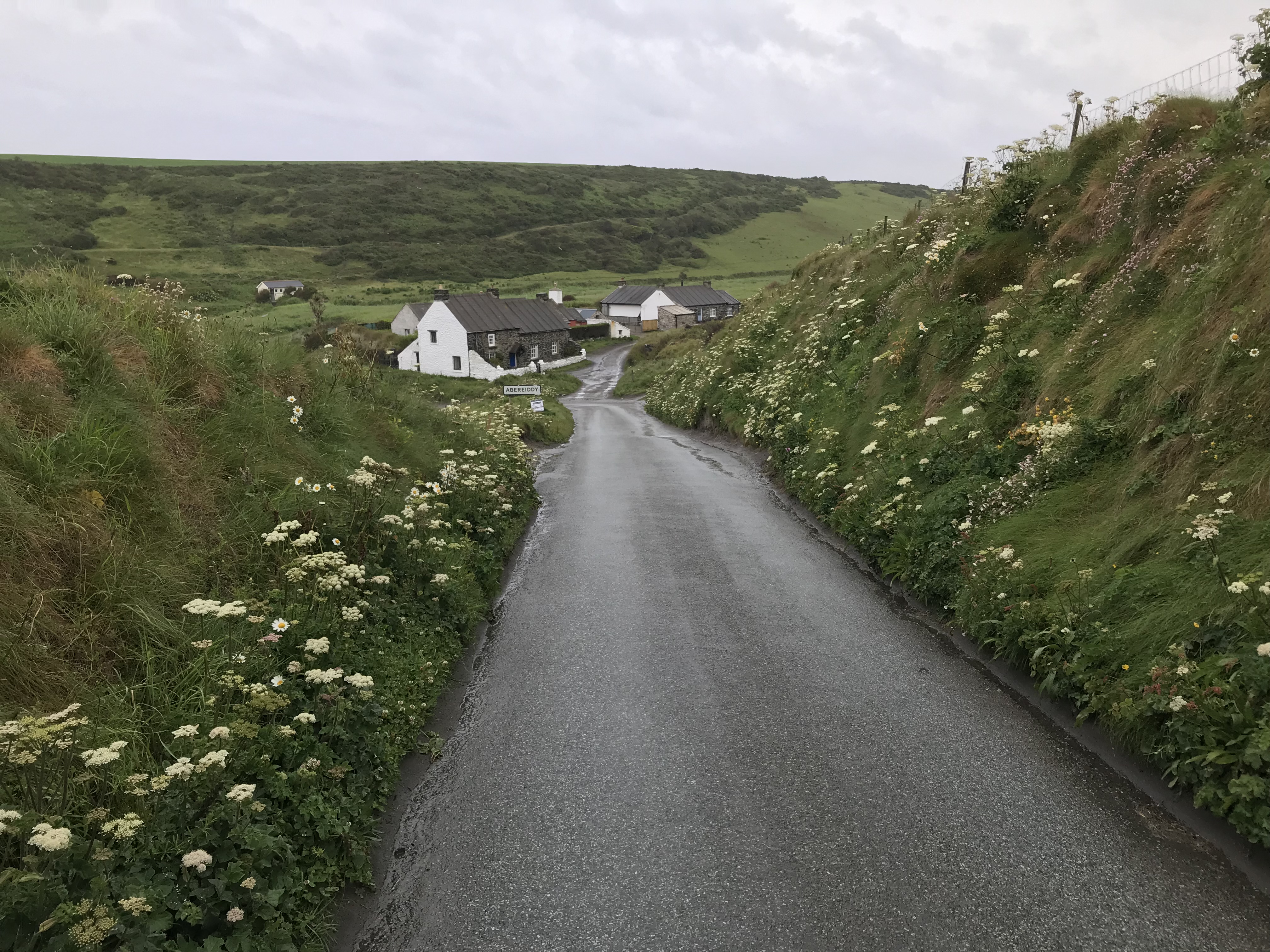 7478DB50-16DC-4E24-9C9C-9F1E8CFA5E95