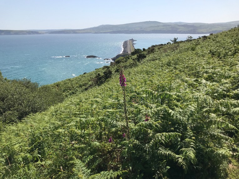 CCD1B651-3EC8-4B3B-9132-11F99D637EEE