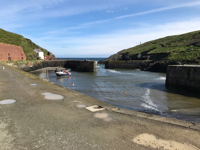 D2299306-39E5-49EC-B482-1CC01E353650