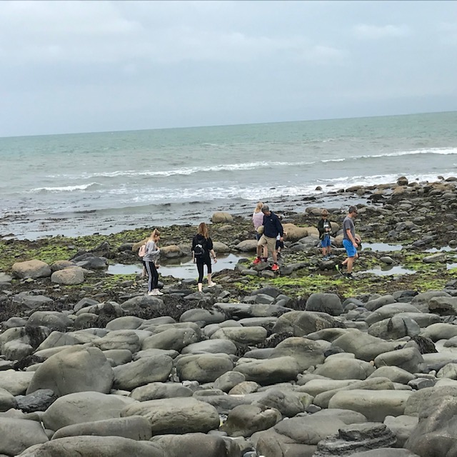 0F962245-6B7D-44C3-989E-785CAE67CD8E