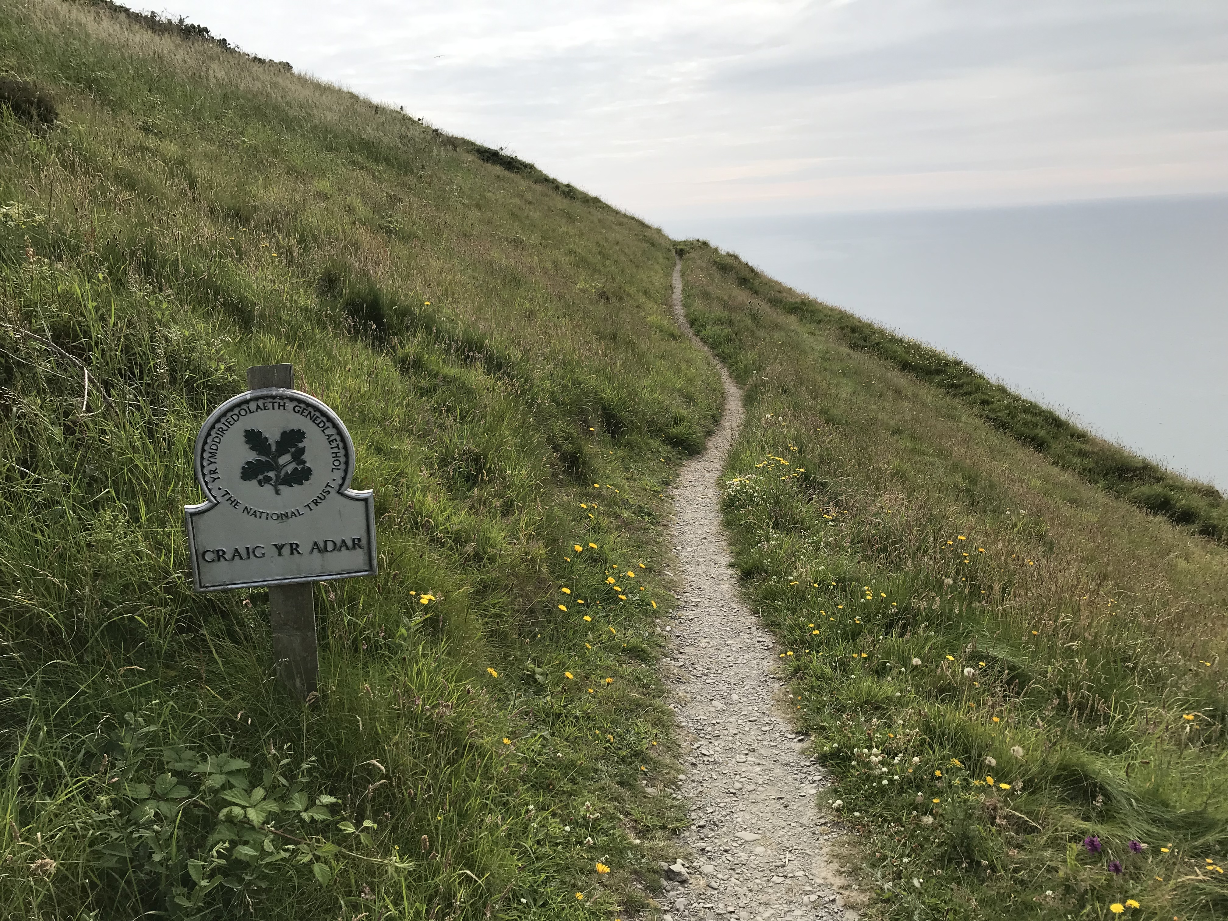 595454A8-CB03-4154-8999-DAEF400274C6