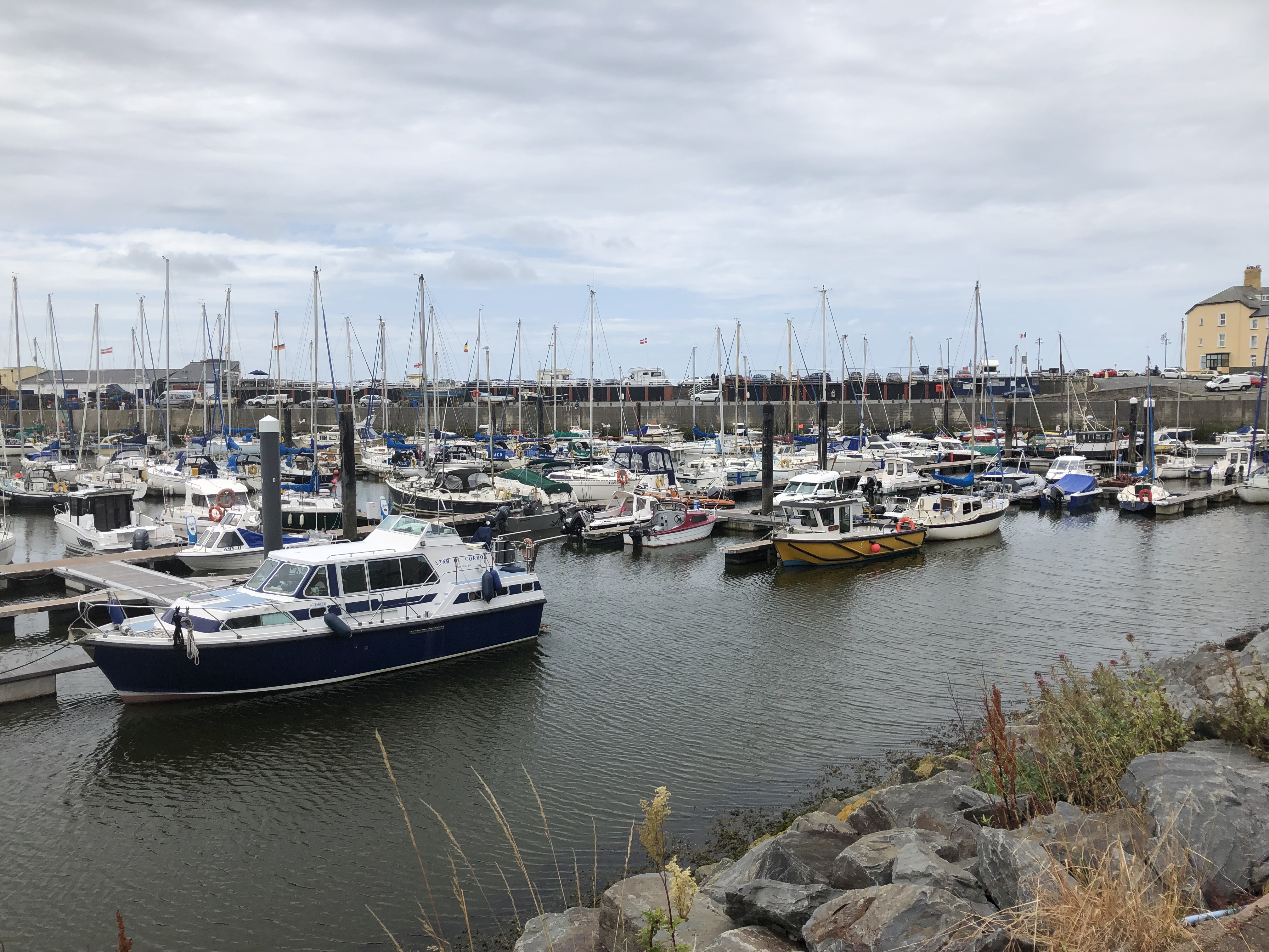 8CEB7660-FB3C-41B0-982F-975A521AC09F