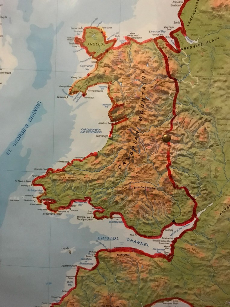 AAE313B5-961C-42C1-8194-396DDCE22E43