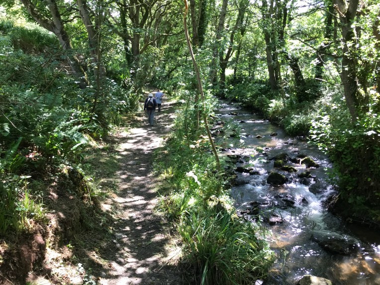 D9F0388F-4DF7-46D2-A0BB-2D942FCE9619