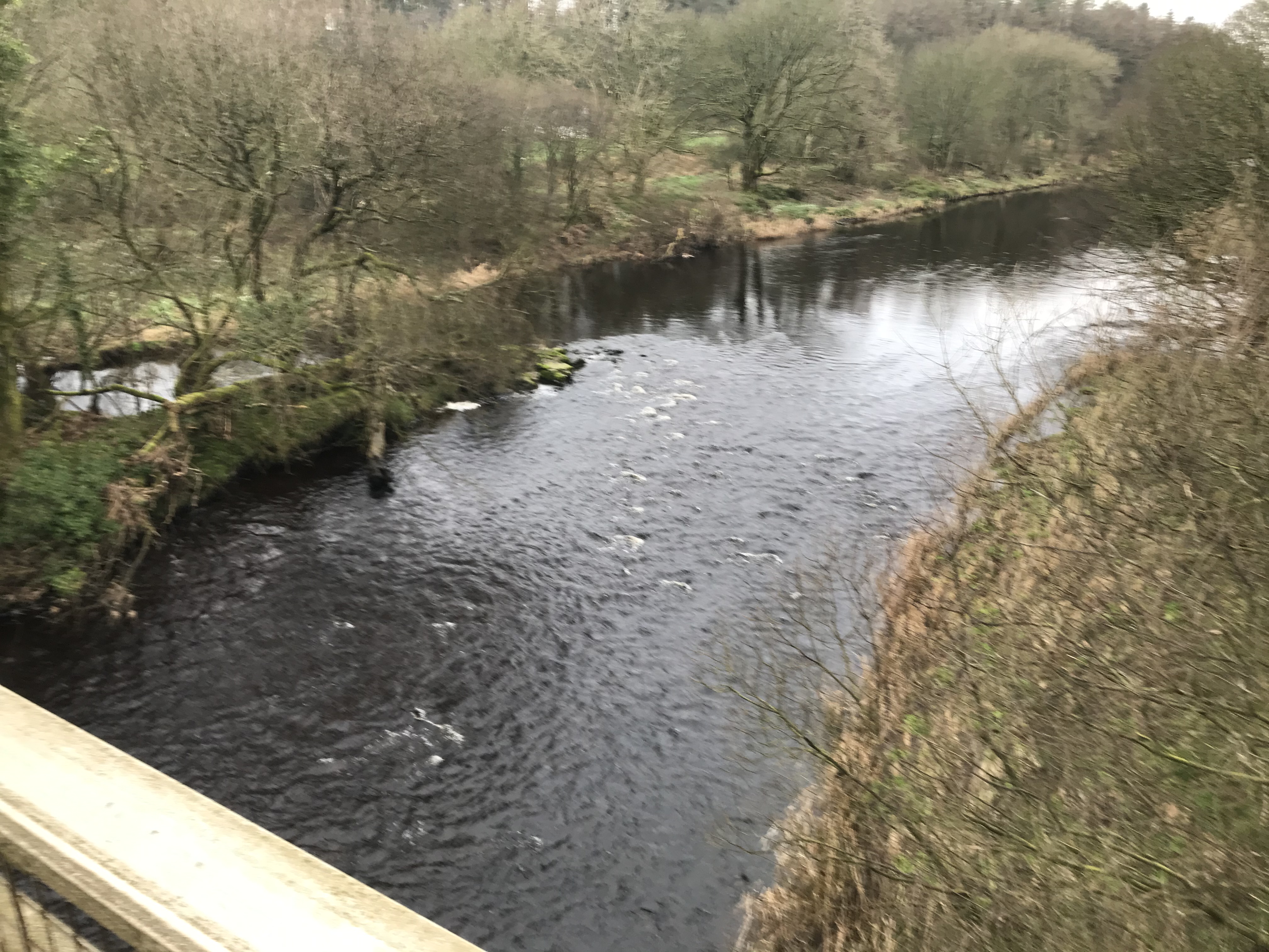 120E2067-B5F3-4F3A-BBC5-EF7513A5AFA3