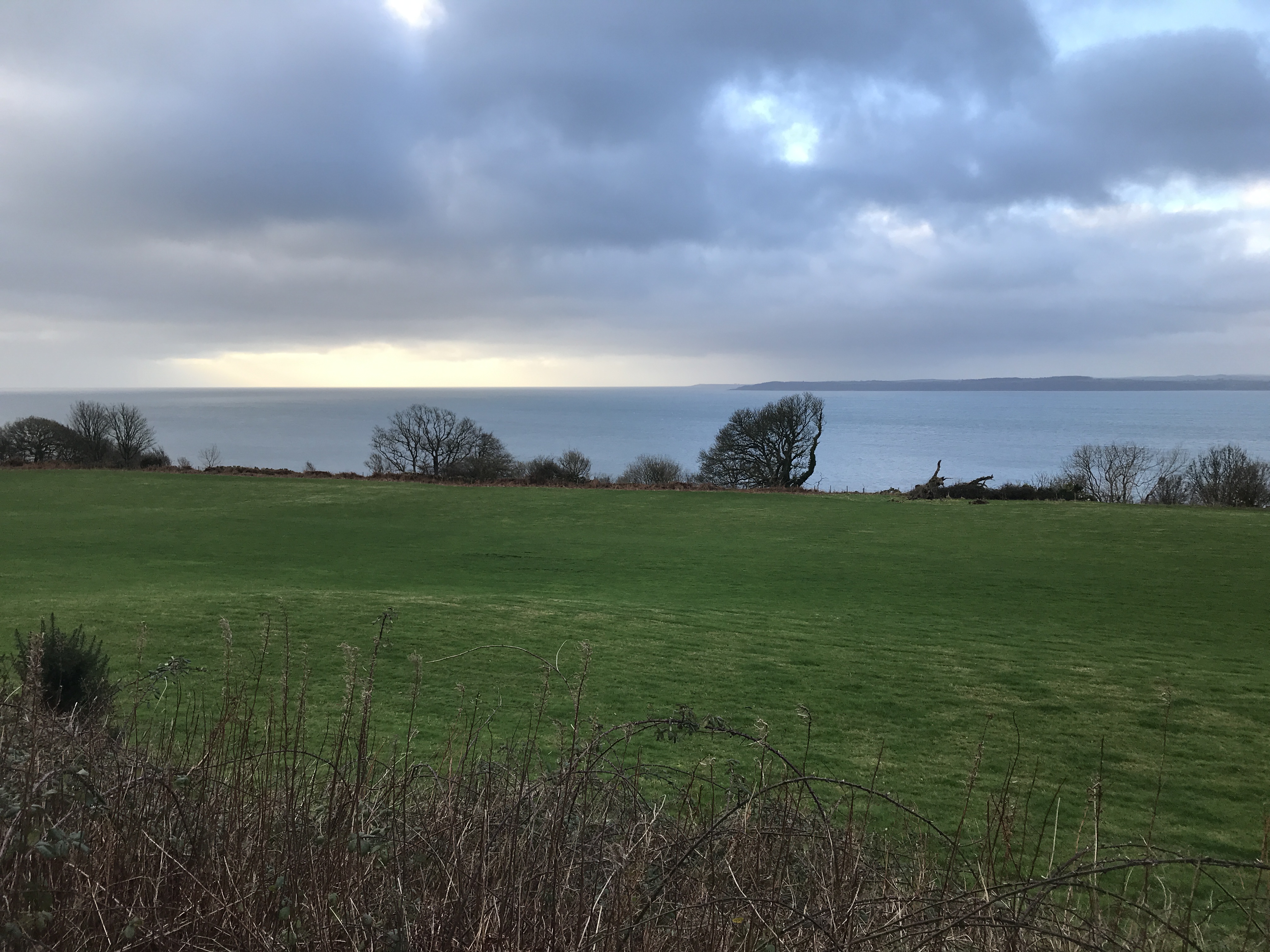 DBF1BB77-76A5-4E5D-A291-F679CD85E86D